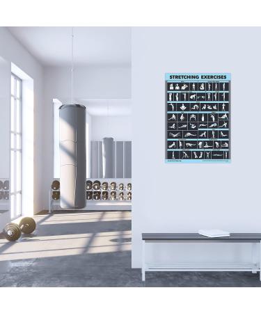 Palace Learning Laminated Poster for Stretching & Muscle Exercises - Training Routine & Anatomy Diagram (45.7 x 61 cm 18 x24 ) - Perfect for International Shipping - Buy Online on GoSupps.com