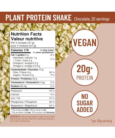 Earthli Chocolate Plant Protein Shake (940g) | Hemp Based Superfood | 20g Protein | Keto Friendly Non-GMO No Added Sugar | Vegan Plant-based Protein Powder | All-in-one Nutritional Shake - Buy Online on GoSupps.com