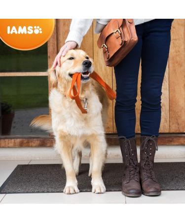 Iams Adult Large Breed Dog - Chicken - 5 kg - Buy Online on GoSupps.com