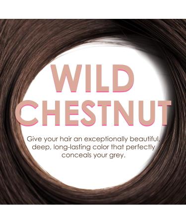 Joanna Naturia Color Permanent Hair Color Cream Goodness of Milk Proteins and Peach Extracts Premium-Quality Hair Dye Provides Soft and Lustrous Hair Long-Lasting Hair Colors Wild Chestnut - Buy Online on GoSupps.com