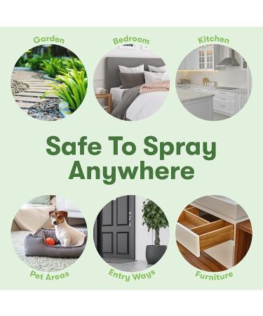 Pest Control Essential Oil Concentrate 3.7 oz - Plant-Based BugMD Spray for Bugs, Spiders, Fleas, Ticks, Roaches - Indoor Ant & Flea Killer - Bed Bug Spray 3.7oz - Buy Online on GoSupps.com