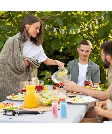 Wllhyf 200-Piece Double-Headed Toothpicks & Dental Floss - Interdental Brush Plastic Toothpicks in White Blue Green & Pink - Buy Online on GoSupps.com