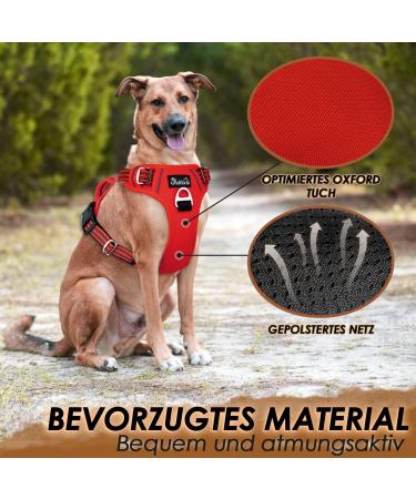 Eyin Adjustable Dog Harness for Small Dogs - Breathable Reflective Padded with Handle & Front Bracket | Ideal for Daily Training | Size S (Red) - Buy Online on GoSupps.com