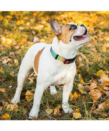 Shop Heele Adjustable Dog Collar - Patterned Comfort for Puppies & Dogs | Rainbow Design XS Size (21.6-28cm) - Buy Online on GoSupps.com