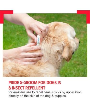 Spot On For Dogs Flea & Tick Repellent Pet Grooming Kit Repel For Up To 4 Weeks Insect Repellent Treatment For Kills Fleas Ticks Lice Dogs Puppies Supplies Pet Accessories White (Pack Of 2) - Buy Online on GoSupps.com