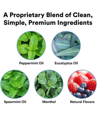 Aromatherapy Inhalator Stick - Winter Mint Essential Oil for Concentration Breathing & Pain Relief - 1 Pack - Buy Online on GoSupps.com
