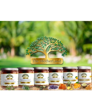 ApiGingembre Orange Blossom Honey with Organic Ginger and Organic Lemon from Spain Unfiltered Unpasteurized No Additif No Suger Added - Buy Online on GoSupps.com