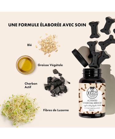 Belly Activated Charcoal Digestive Treats for Dogs - 100g - Reduces Smelly Gas - Rich in Fiber Plant Fats Antioxidants Vitamins and Minerals - Activated Charcoal for Dogs - Buy Online on GoSupps.com