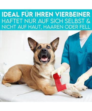 Hund ist K nig Self-Adhesive Elastic Binding Bandage 12x4.7m - Ideal for Humans & Animals - 12 Rolls (5cm x 4.7m) Red - Shop Now! - Buy Online on GoSupps.com