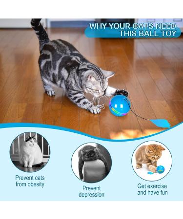 Extfans Katzenball mit LED - Interaktiver 360 Katzen Spielzeugball USB wiederaufladbar Blau - Zwei-Farben Elektrisch f r Katzen - Buy Online on GoSupps.com