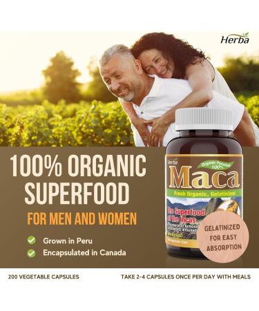 Herba Organic Maca for Men & Women - 200 Capsules | 100% Organic Gelatinized Maca Root | 500mg Peruvian Yellow Maca per Vegetable Capsule | Made in Canada - Buy Online on GoSupps.com