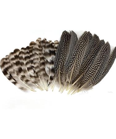30 Pcs Natural Pheasant Feathers 15-22cm Assorted Wild Turkey Feather Guinea Fowl Quill DIY Craft Wedding Home Party Decor - Brown & White (2 Styles) - Buy Online on GoSupps.com