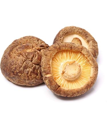AnRa Shiitake Powder - 100g | Homeopathic Supplement for Dogs Cats & Horses Boost Animal Health - Buy Online on GoSupps.com