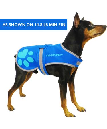 SafetyPUP XD Dog Safety Vest - Blue | Fits Dogs 14-130 lbs | X-Small to X-Small - Buy Online on GoSupps.com