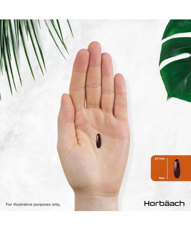 Horbaach Lecithine 1400mg of Soja 90 liquid capsule High Dosing Soyalcithine supplement Soy Lecithin Horbach - Buy Online on GoSupps.com