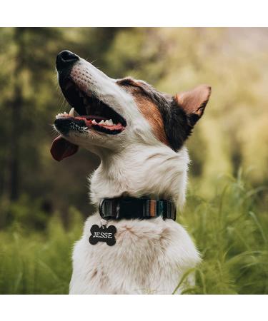 Personalized Rainbow, Black Steel, or Brass Dog Tags - Custom Engraved for Dogs and Cats | Fun Fonts | ID Tags (Pack of 1) - Buy Online on GoSupps.com