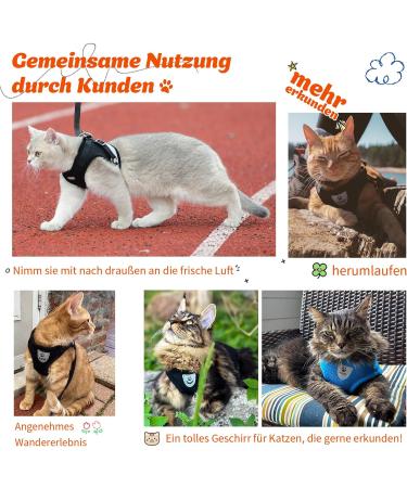 Supet Cat Dishes & Soft Vest Set for Cats & Small Dogs - Adjustable Leash Breakfast Collection Medium (33-38 cm) - Orange - Buy Online on GoSupps.com