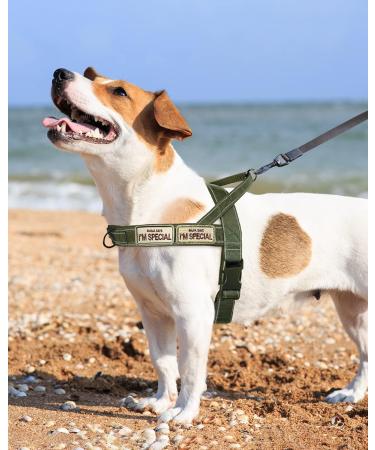 Buy Eeyfarog No Pull Dog Harness for Small & Medium Dogs - Adjustable Reflective Safe & Comfortable - XL Green - International Shipping Available - Buy Online on GoSupps.com