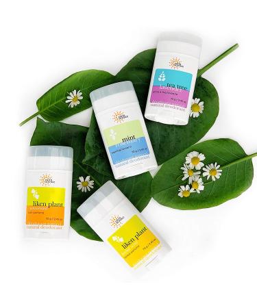 Earth Science Natural Deodorant - Liken Plant Herbal Scent 2.45 oz | Eco-Friendly & Aluminum-Free - Buy Online on GoSupps.com