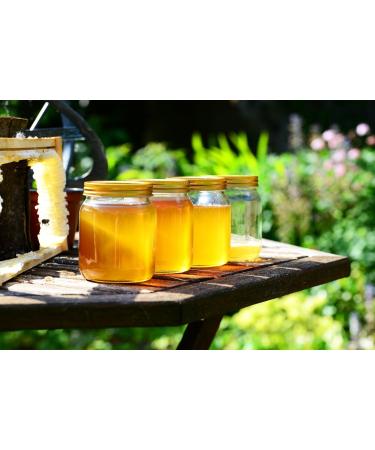 ImkerPur forest honey 1200 g cold spun sweetened with a fine fir note - Buy Online on GoSupps.com