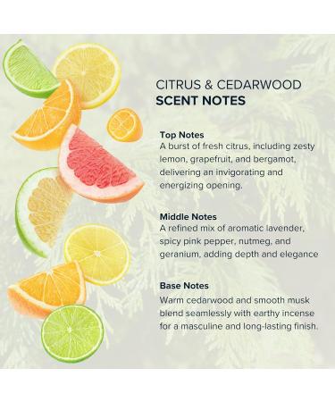 Anthology Woody Citrus roll on Perfume Oil 0.3 oz 9ml | Citrus & Cedarwood | Ambery Cedarwood Notes | Travel size rollerball - Buy Online on GoSupps.com