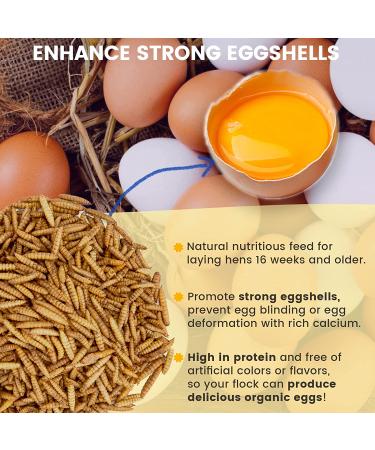 MEILLEURE Dried Black Soldier Fly Larvae for Chickens - 5 LBS | Non-GMO & 100% Natural Chicken Treat - High in Calcium for Hens, Lizard, Ducks, and More - Buy Online on GoSupps.com
