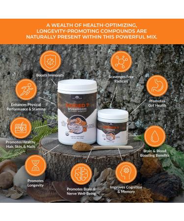 Naturealm Sacred 7 Mushroom Extract Powder 8 oz - Organic Herbal Nootropic Supplement - Buy Online on GoSupps.com