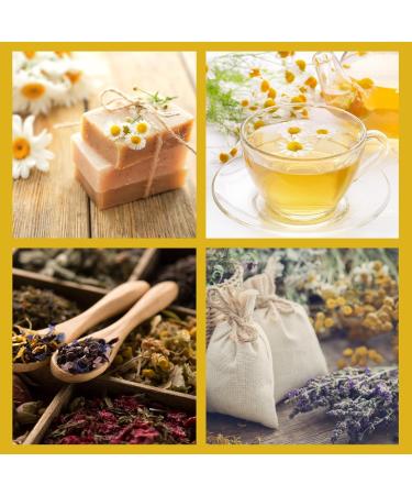 Organic Chamomile Tea 250g Loose Whole Flowers Premium Quality Egyptian Camomile Matricaria Chamomilla Caffeine-Free Herbal Tea | DRAGONFLY HERBS - Buy Online on GoSupps.com