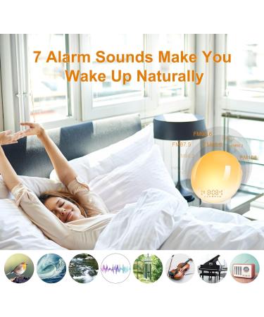 Daily Light Alarm Clock with Sunrise Sunset Simulation | 11 Color Settings & 7 Natural Sounds | Dual Alarm & Snooze for Adults & Kids - Buy Online on GoSupps.com