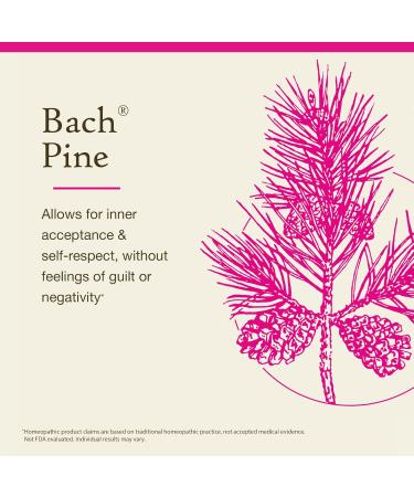 Bach Original Flower Remedies Pine - Have Self-Respect - Natural Homeopathic Flower Essence for Emotional Balance - Vegan Gluten Free Sugar Free - 20mL Dropper - Buy Online on GoSupps.com
