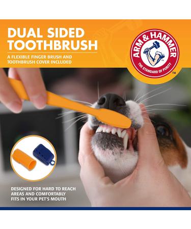 Arm & Hammer Tartar Control Dental Kit for Dogs - Banana Mint Flavor - Buy Online on GoSupps.com