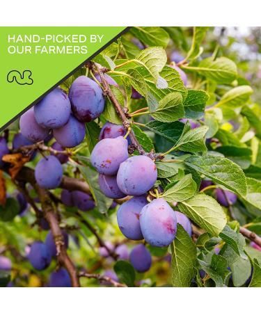 Dried Prunes Pitted Unsweetened - 16oz Resealable Bag - Sweet & Healthy Snack - All Natural, Vegan, Kosher Certified - Buy Online on GoSupps.com