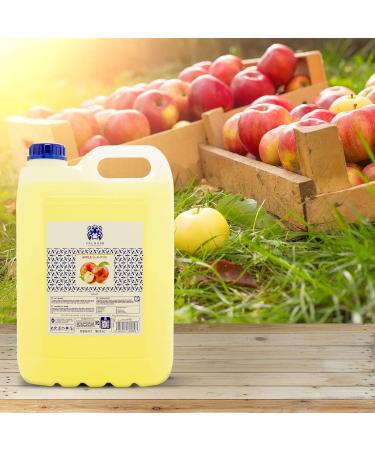 Valquer Professional Special Apple Shampoo for Hairdressing Shampoo for Professional Carafa 5000 ml - Buy Online on GoSupps.com