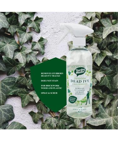 Garden Mate Dead Ivy Stain Remover 500ml - Buy Online on GoSupps.com