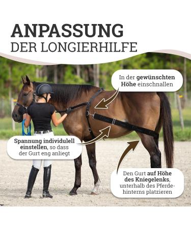 Esposita Elastic Lunging Aid Horse Pony Body Band Horses Floor Work Accessories Lunging Set Body Bandage Lunging System Training System - Buy Online on GoSupps.com