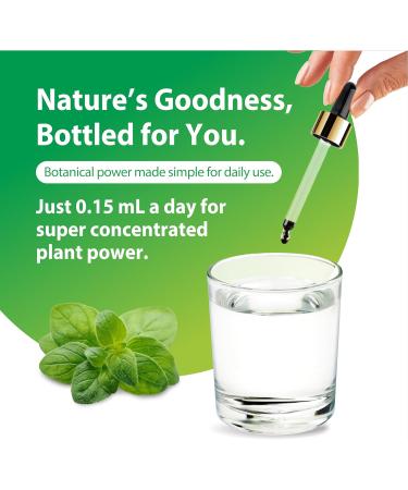 Rainbow Light Organic Oil of Oregano | 2 Fl Oz | Alcohol Free Liquid Extract | Non-GMO and Gluten Free Herbal Supplement | for Men and Women - Buy Online on GoSupps.com