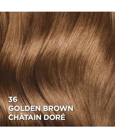 L Or al Paris Superior Preference 9 weeks of Luminous Fade-Defying Permanent Hair Dye 36 Golden Brown 100% Grey Coverage 1 Hair Dye Kit (Packaging May Vary) 1 Count ( Pack Of 1 ) Golden Brown - Buy Online on GoSupps.com