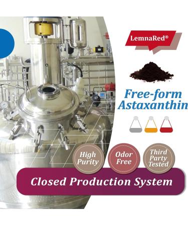 LemnaRed Free-Form Astaxanthin 6mg Softgel-60 Softgels Dietary Supplement Strongest Antioxidant Immune Supports Supports Eye Joint & Skin Health Formulated with Sacha Inchi Oil - Buy Online on GoSupps.com