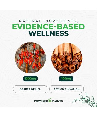 Pure Berberine Supplement - 1300mg Berberine with Ceylon Cinnamon for Metabolism & Immune System Support - 60 Servings 60 Count (Pack of 1) - Buy Online on GoSupps.com