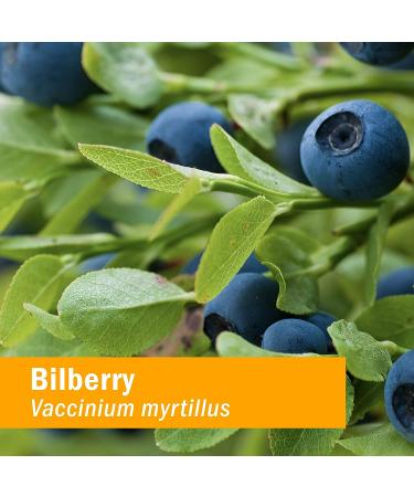 Herb Pharm Eye Health Liquid Herbal Formula with Bilberry and Goji Extract - 1oz - Buy Online on GoSupps.com