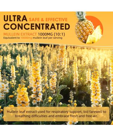 Mullein Drops for Lungs - 13 in 1 Vegan Tincture with Calendula & Elderberry | Herbal Respiratory & Immune Support | 2 FL OZ Pineapple Flavor - Buy Online on GoSupps.com