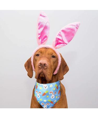 Easter Day Dog Bandana & Holiday Cat Scarf - Hoppy Hour Blue (Large) - Buy Online on GoSupps.com