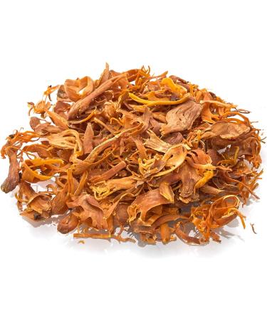 Old India Mace Blades 25g - Exotic and Aromatic Spice - Pack of 1 - Buy Online on GoSupps.com