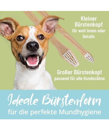 Bamboo Toothbrush for Dogs & Cats | 100% BPA-Free Dental Care | Removes Tartar & Bad Breath | Eco-Friendly 1 Pack - Buy Online on GoSupps.com