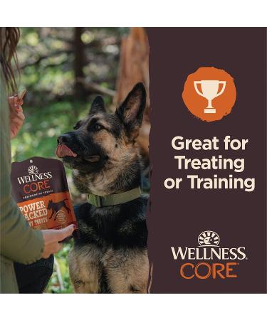 Wellness CORE Pure Rewards Chicken & Lamb Jerky Bites - Grain-Free Dog Treats, 4 oz - Buy Online on GoSupps.com