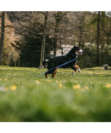 Shop Durable Blue Rubberized Leash without Hand Loop - 750 cm (7.5 m) | International Shipping Available - Buy Online on GoSupps.com