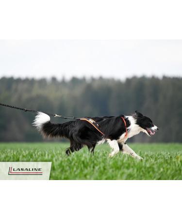 LASALINE XL Dog Harness X Back - Ideal for Canicross Dogscooter Bikejoring & Sled in Black Neon Orange - International Shipping Available - Buy Online on GoSupps.com