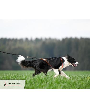 LASALINE Dog Harness X Back - Ideal for Canicross Dogscooter & Bikejoring | Black Neon Orange - Buy Online on GoSupps.com