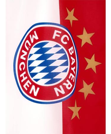 FC Bayern Munich Flag Logo - 60x40 cm Red-White with Pole | International Shipping Available - Buy Online on GoSupps.com