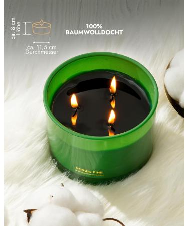 96North Luxury Candles | Kiefer 3-Wick Fragrance Candle | 100% Natural Soy Wax | 40-Hour Burn Time | Perfect Wedding Day Gifts | Nordic Pine Scent - Buy Online on GoSupps.com